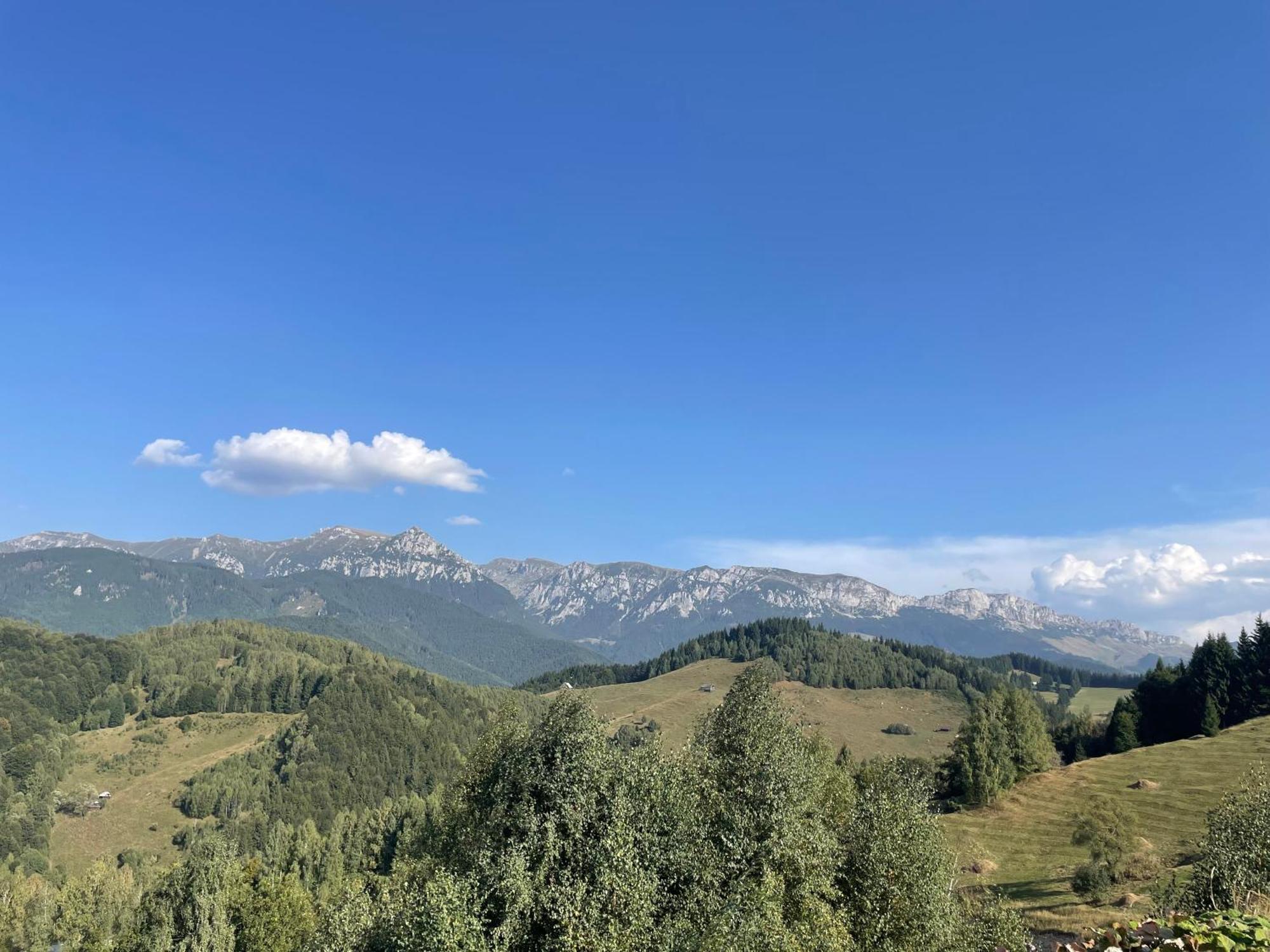 Vila Casa Dudu Moieciu de Jos Exteriér fotografie
